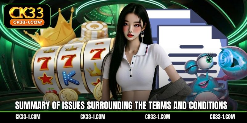 Summary of issues surrounding the Terms and Conditions 