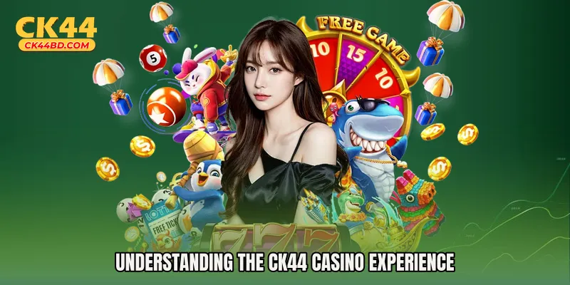 Understanding the CK44 Casino Experience