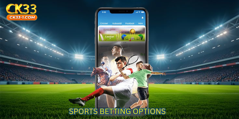 Sports Betting Options